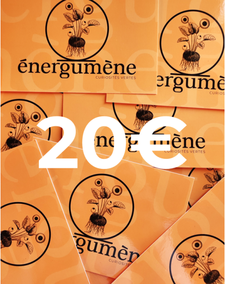 Carte Cadeau 20€
