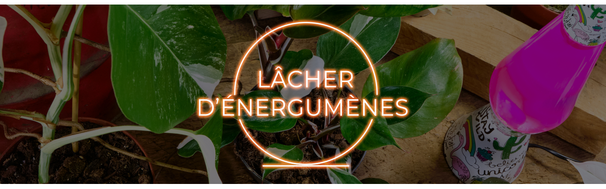 Energumène - Lâcher de la semaine